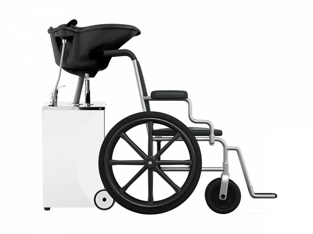 Bac de lavage Spécial PMR Ibis