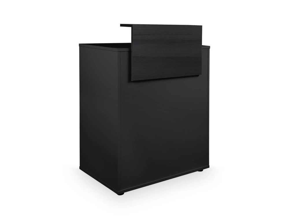 Dylan 98/98 - Recepción de caja en la recepción