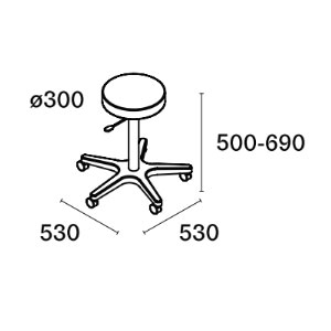 Fiche technique prince