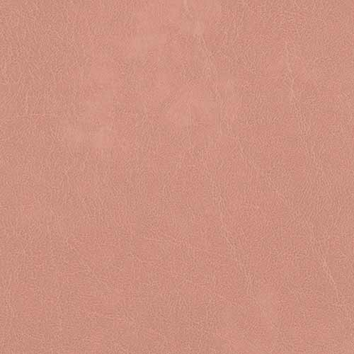 Venice - TN35 - Rose (+suppl.)