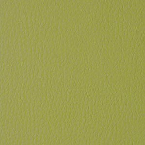 Colora - B34 Lime