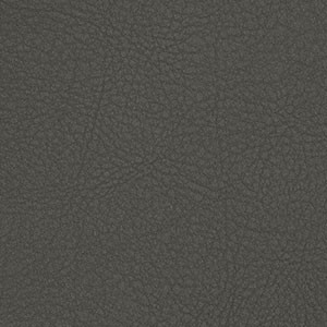 Domus - TC21 Graphite (+suppl.)