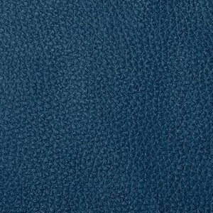 Colora - B36 Navy